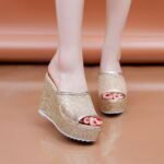 Thick sole, High heel, Mesh flip-flops Shoes For Women, Balanced Heel-RV476 - Image 2