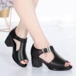 Fish Mouth Fashion Casual Thick Heel Sandals For Women's, Box Heel-RV1436 - Image 3