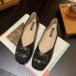 Flat Heeled Four Seasons Shallow Mouth Shoes For Women, Style Shoes-RV2540 - Image 5