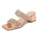 Korean thick-soled high-heeled women's shoes, Box Heel-RV1440