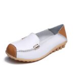 New Spring/Summer Single Shoes, Women’s Shoes, Lace-up Flat, Canvas & Loafer – DS148 - Image 2