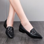 chunky heel, soft sole, embroidered, hollowed-out, breathable, Style Shoes – RV2593
