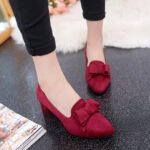 Fashionable Pointed Toe Thick Heel High Heel Women’s Shoes, Style Shoes-STRV2418