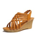 Feminine Fish Mouth Hollow High Heels, Foreign Trande Shoes For Women, Balance Heel-STRV500 - Image 3