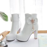 Winter chunky heel ankle boots, European and American style, Boot Shoes – WR213 - Image 4