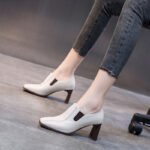 Women's chunky heeled single shoes, new spring style, Korean style, Style Shoes – RV2598