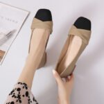 Women's Elegant and Versatile Soft Sole Chunky Heel Comfortable Style Shoes – RV2587