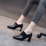 Women's chunky heeled single shoes, new spring style, Korean style, Style Shoes – RV2598 - Image 2